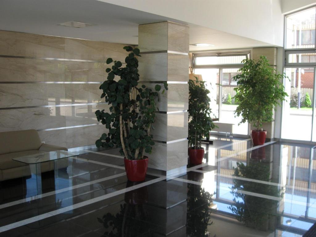 Garden Corner Apartment Krasków Exterior foto